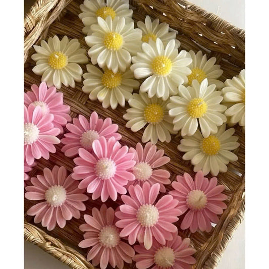 Daisy Blossom - Pack of 3